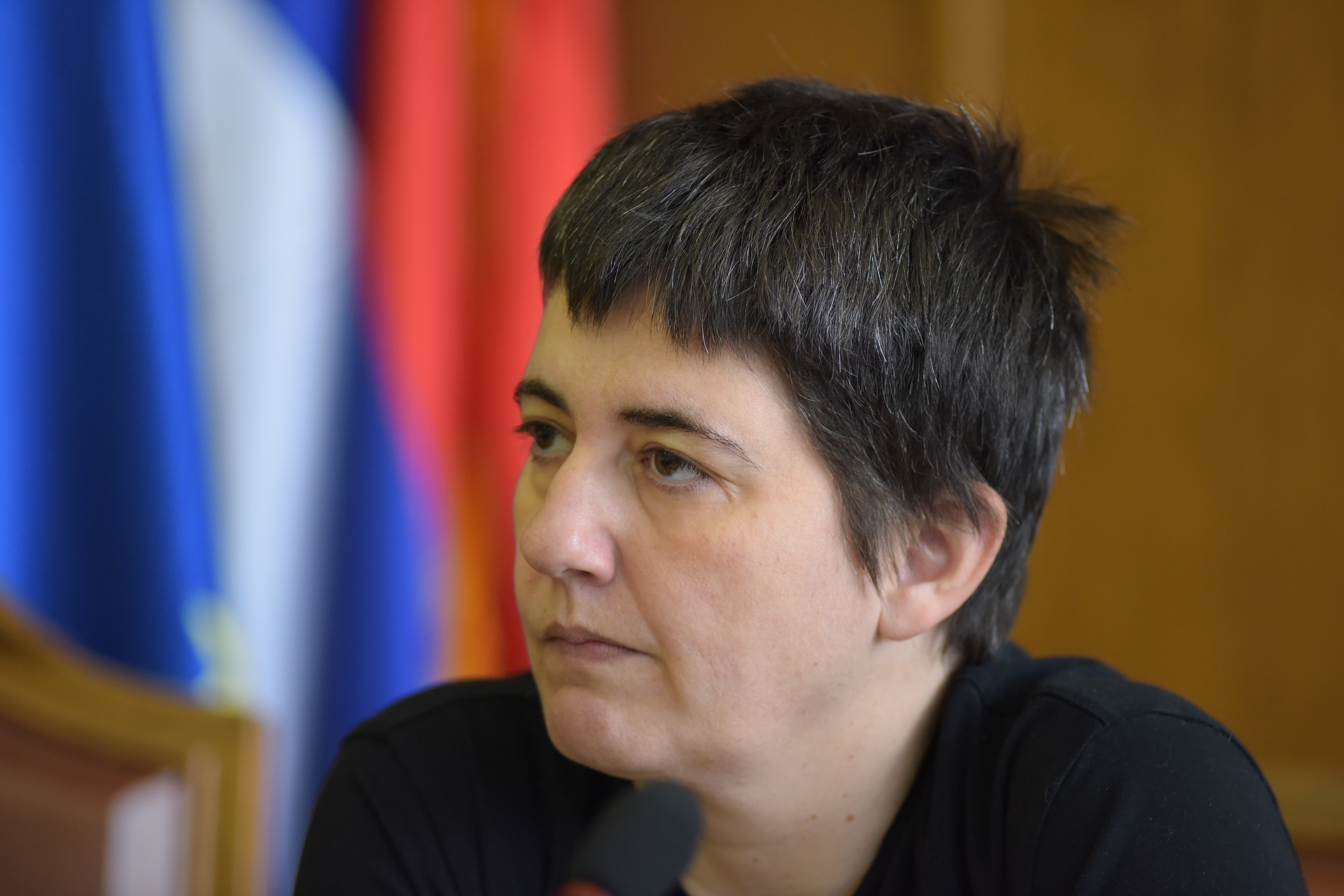 NIRAS EU podrska socijalnoj zastiti u Srbiji Marijana Savic