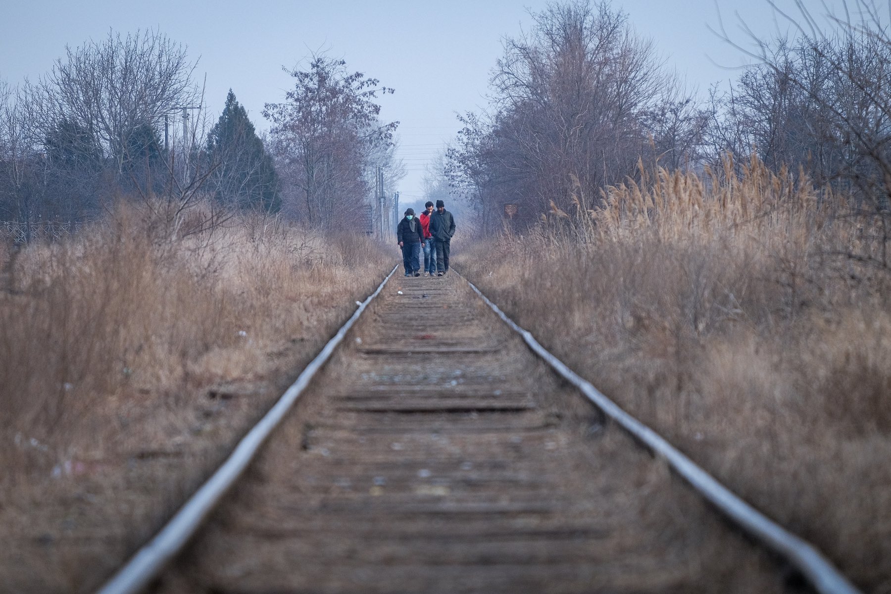 Subotica, refugees, forest, Oxfam